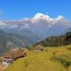 paysage-nepal